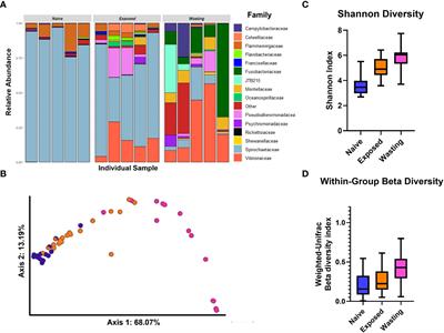 Microbial dysbiosis precedes signs of sea star wasting disease in wild populations of Pycnopodia helianthoides
